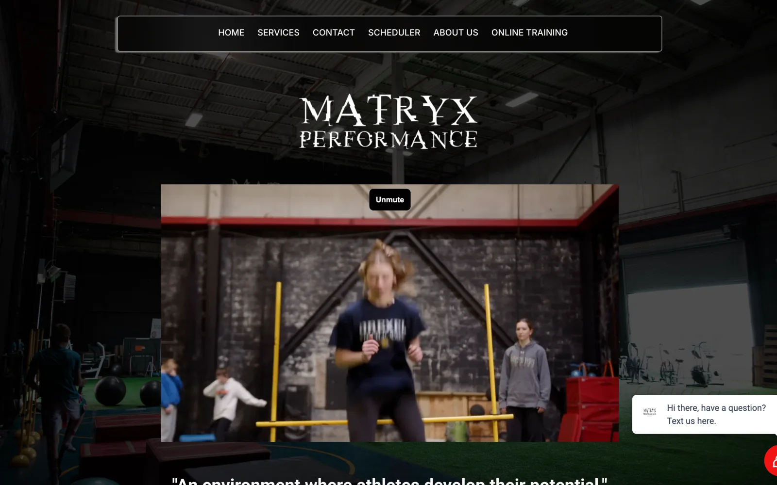 Matryx Performance — old website before Conversion Bees rebuild