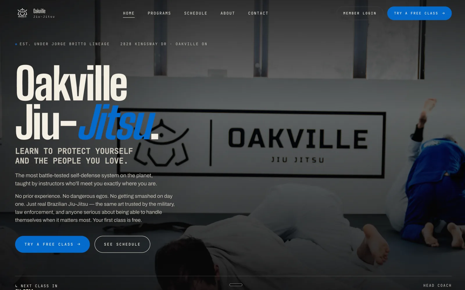 Oakville Jiu-Jitsu — Smart Site after Conversion Bees rebuild